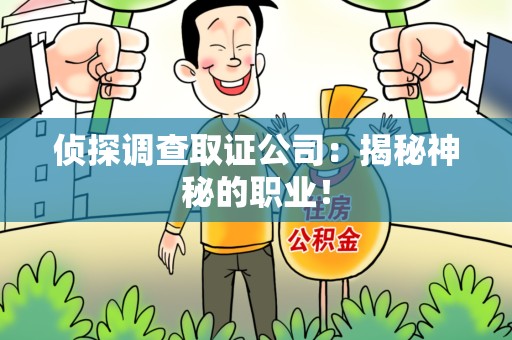 清流侦探调查取证公司：揭秘神秘的职业！