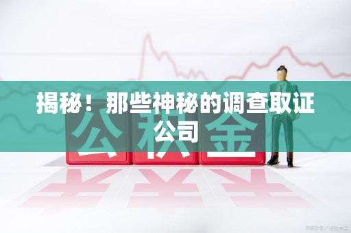 清流揭秘！那些神秘的调查取证公司