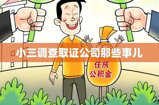 清流小三调查取证公司那些事儿