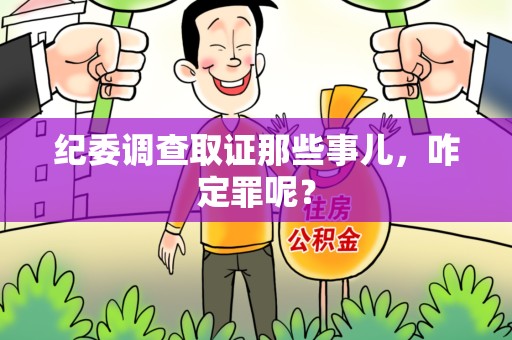 清流纪委调查取证那些事儿，咋定罪呢？