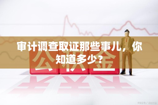 清流审计调查取证那些事儿，你知道多少？